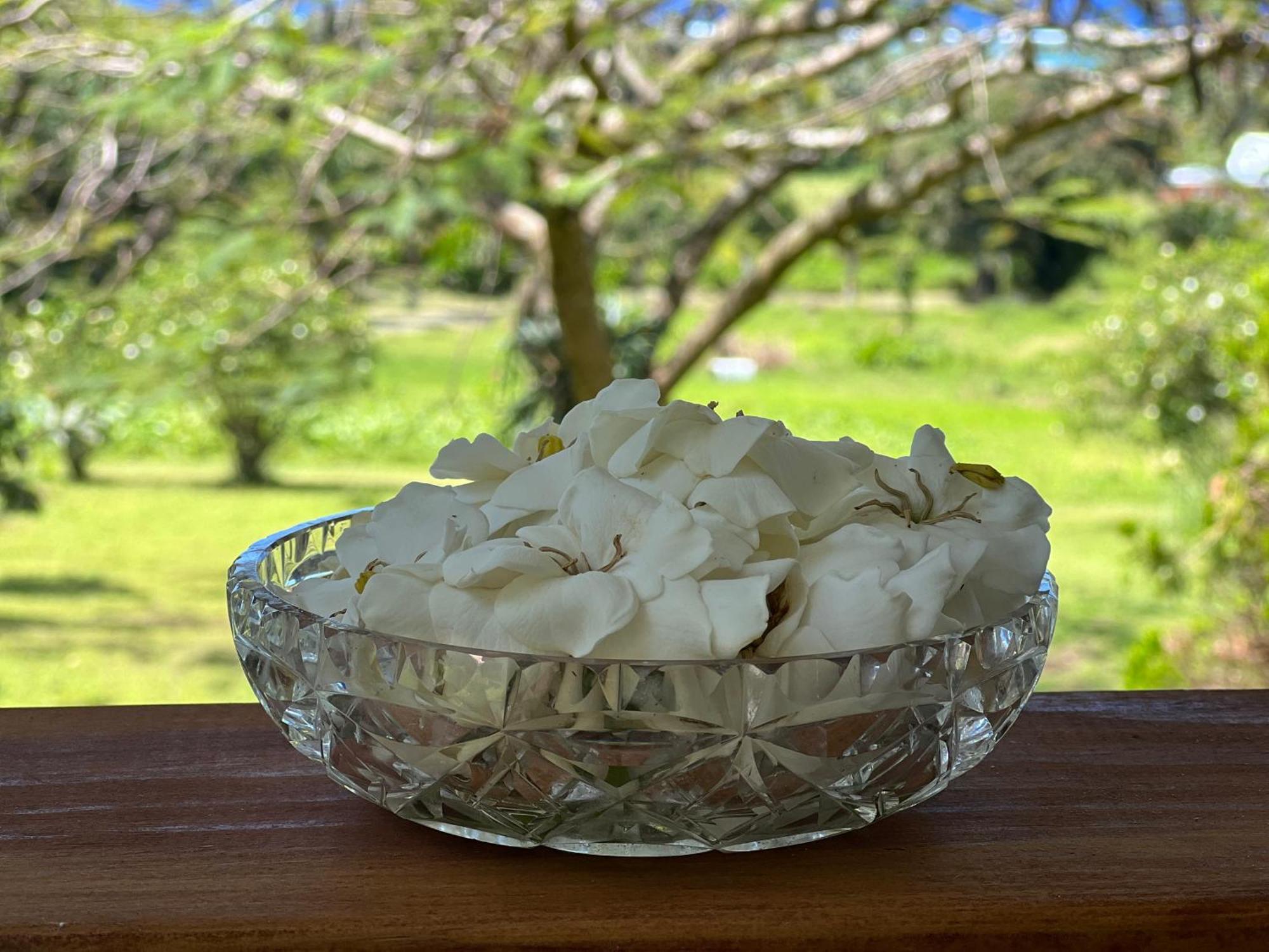 Willa Avocado Retreat Rarotonga Zewnętrze zdjęcie